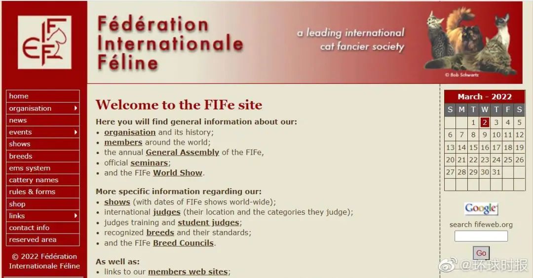 北约制裁俄罗斯的猫,俄罗斯的猫被制裁了是怎么回事