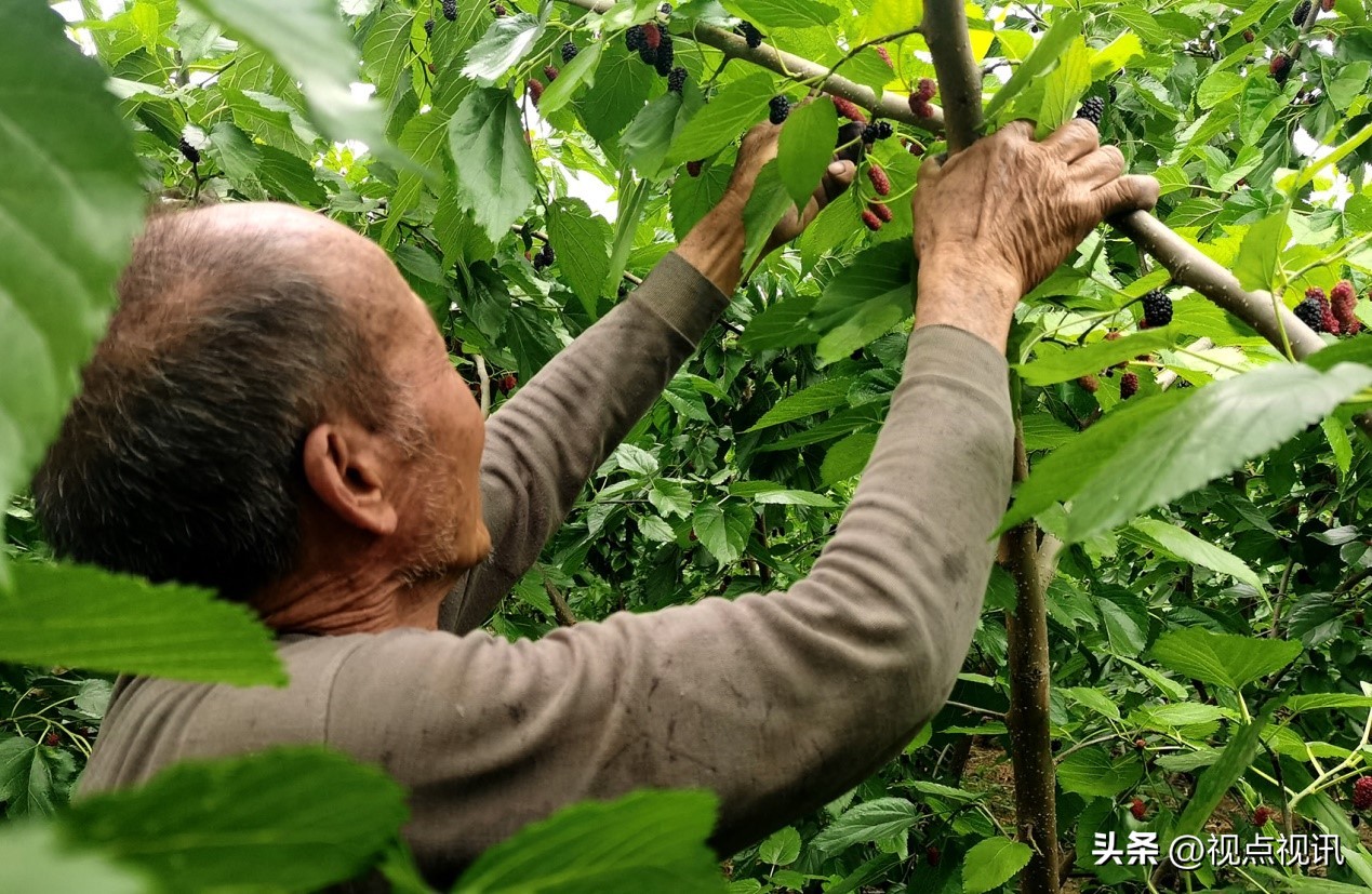 走进西吉看乡村振兴,乡村振兴看进贤罗溪