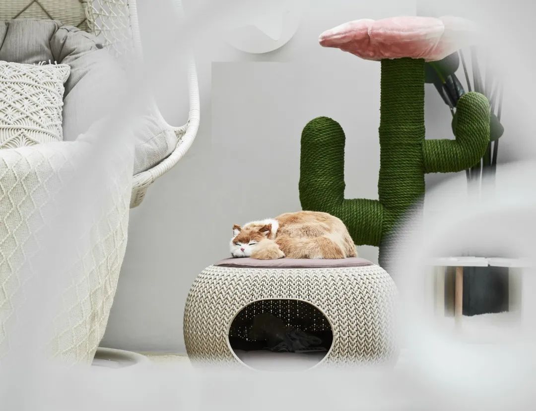 本则设计|兮觅真境，尘世之美