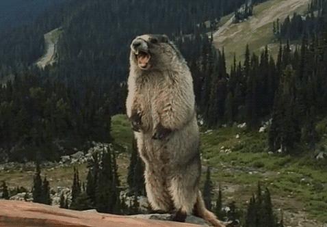 腹泻分几种类型分别如何对症用药,腹泻怎样正确选用药物