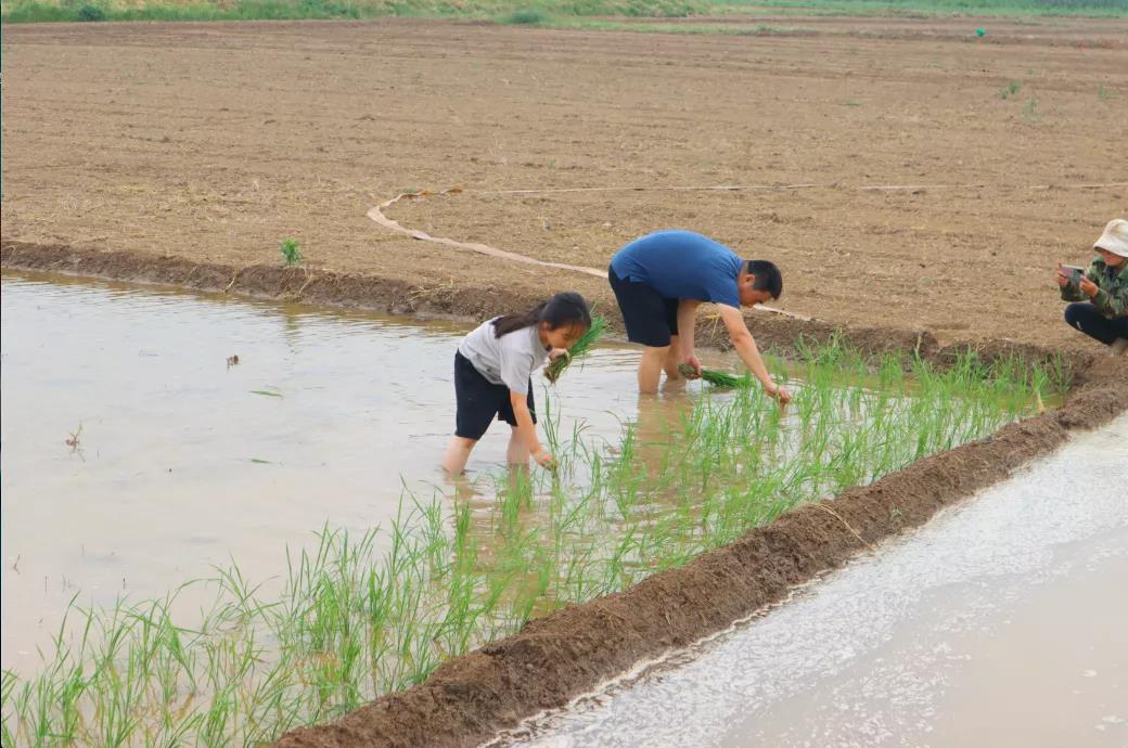 农场办抓鸡游戏3只鸡引百人追，入场费10元，“玩”出来的大财富