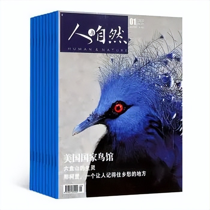 小学生暑假必读分级课外书目录,2024年寒假小学生必读书目