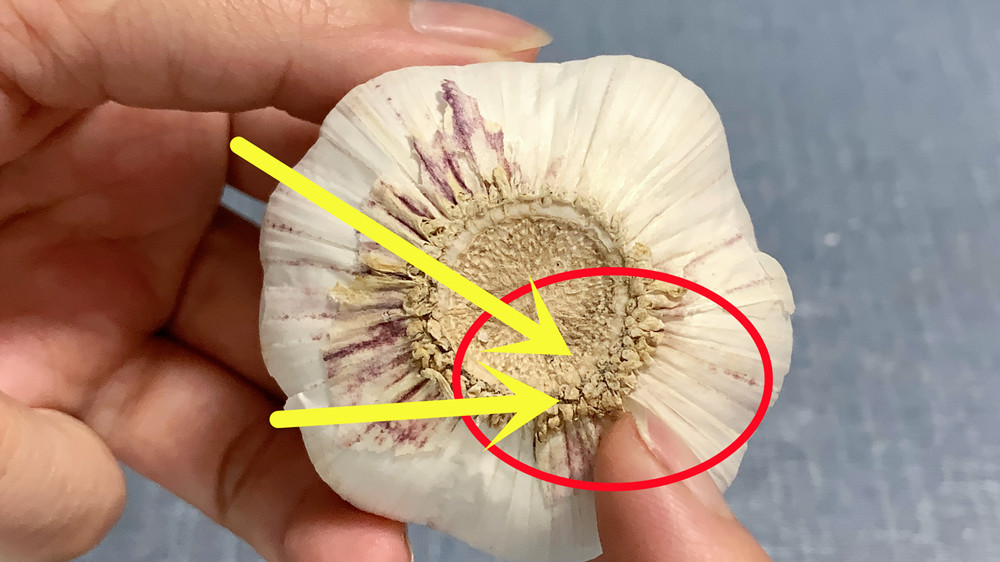 才知道剥大蒜原来这么简单,大蒜怎么脱皮最快最干净