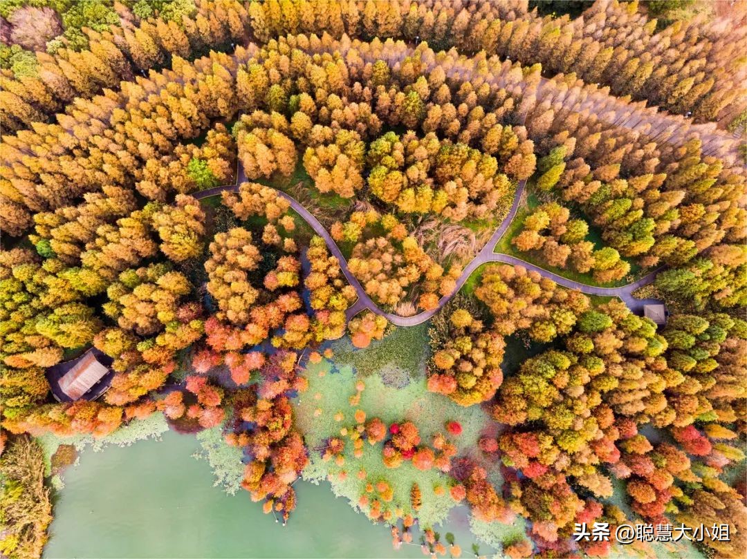 江苏镇江，比扬州安逸。这座有钱低调的小城，倦了就去小住几日