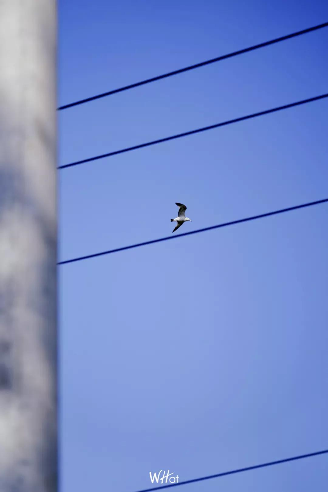 武汉人的冬天专属指南,武汉人的冬天为什么那么冷