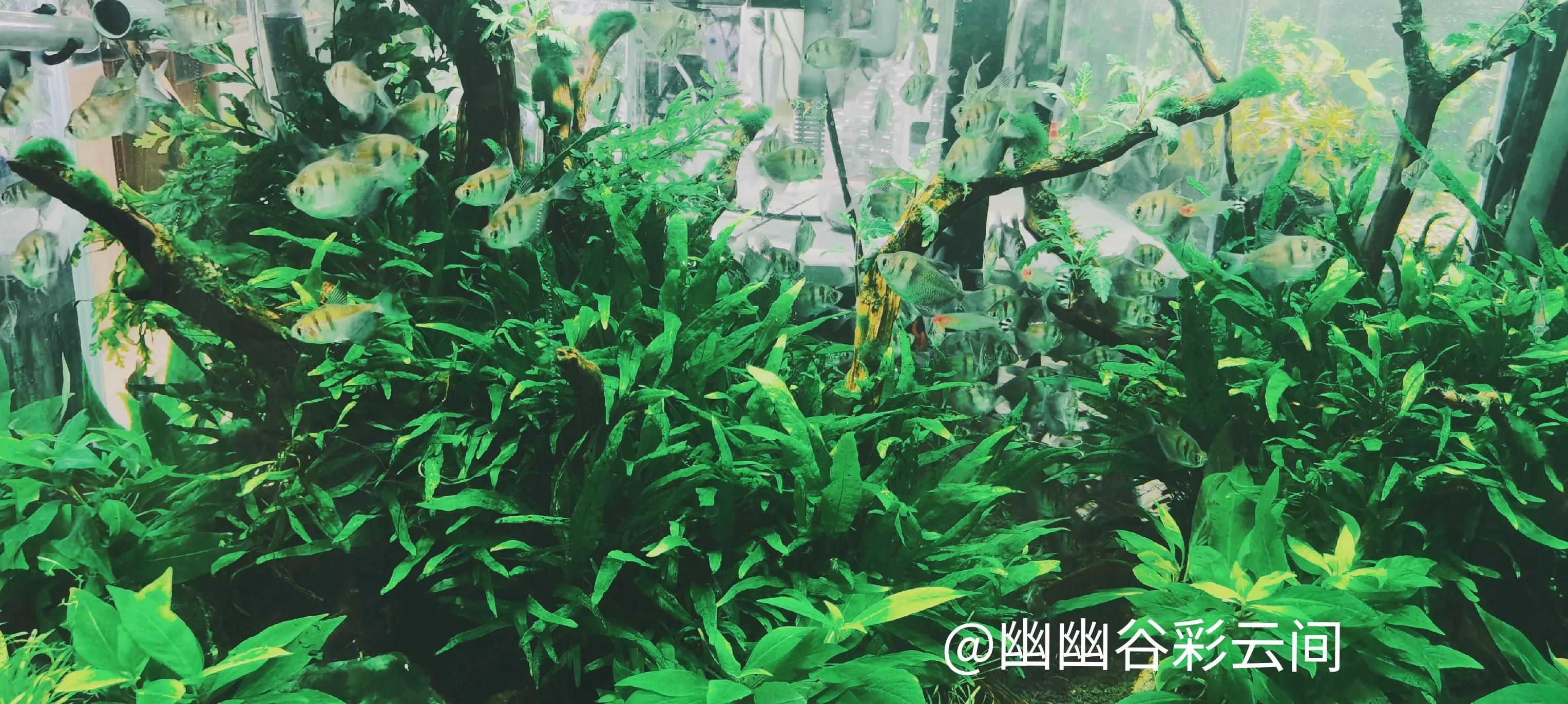 原创随笔感悟300字,头条分享心得的简介怎么写