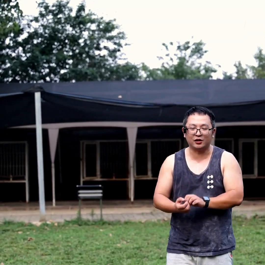 秋田犬小知识第三十一期：当您的秋田犬和别的狗狗打架，该...