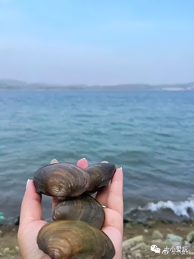 北京周围好玩的小镇,北京周边10个好玩小镇