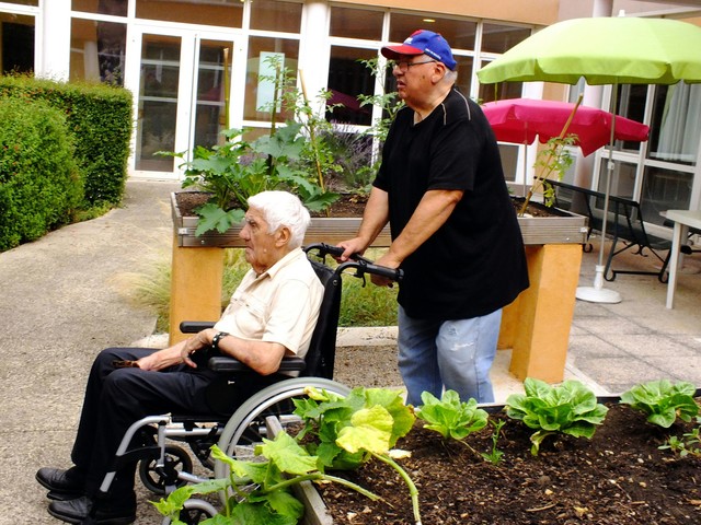 长篇励志小说《活在长冬也美丽》第十章做“鸡”