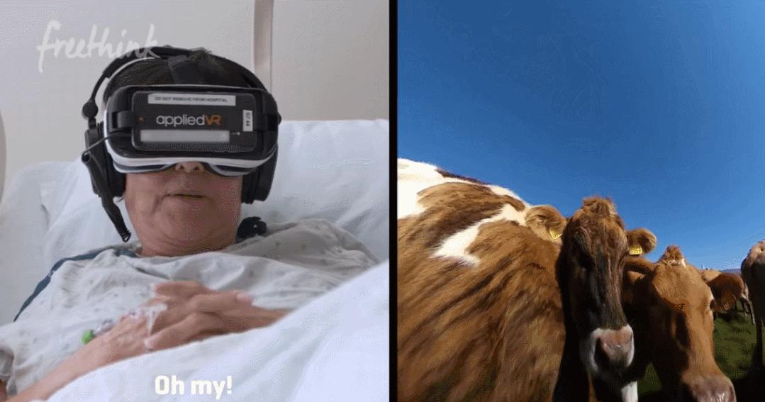 welab汇立集团怎么样,welab汇立