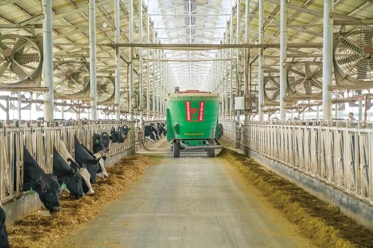 奶牛养殖场建设的标准是,奶牛养殖小区管理