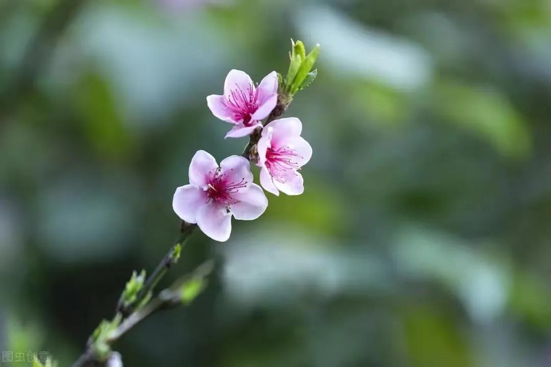 56岁阿姨陈述：老公中风后，日子反而过得比以前轻松自在了