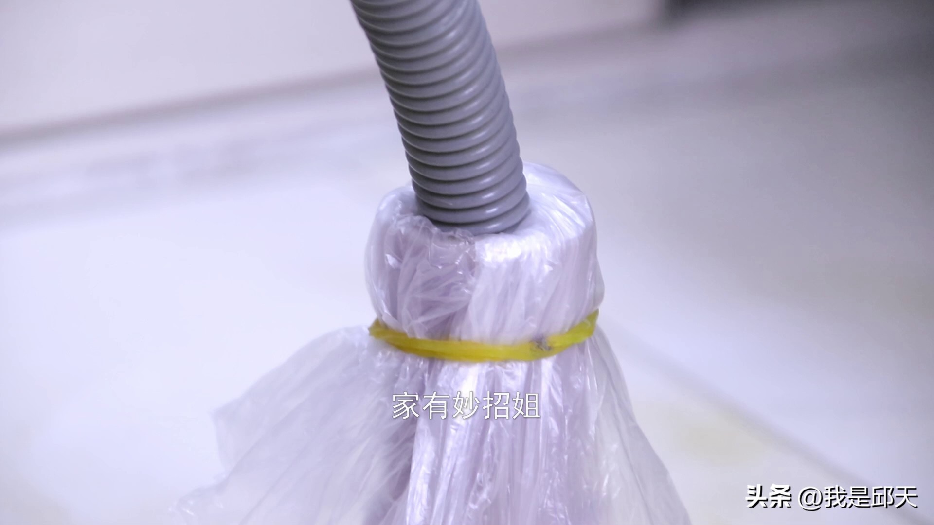 从下水道里爬上来虫子怎么能除掉,下水道臭而且有虫子怎么办