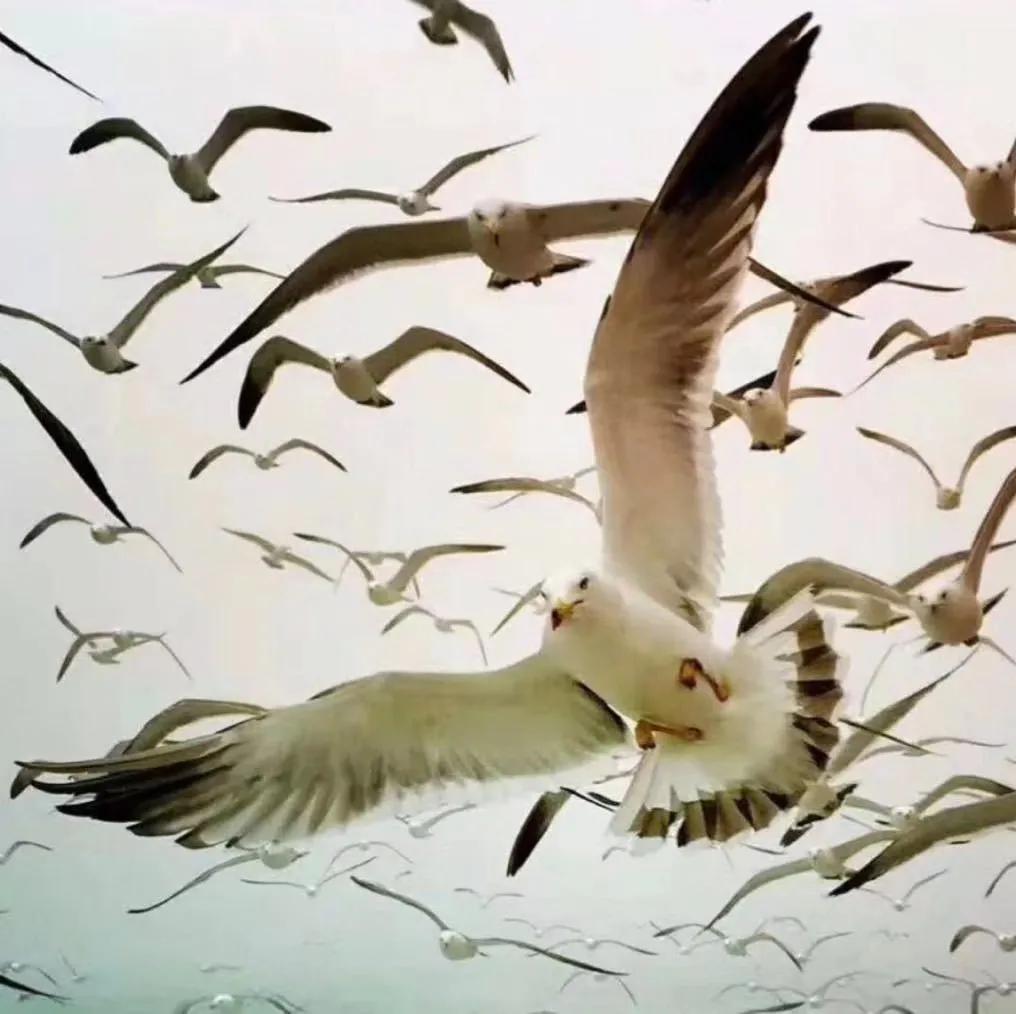 对音乐人的鼓励,我对音乐有自己的想法