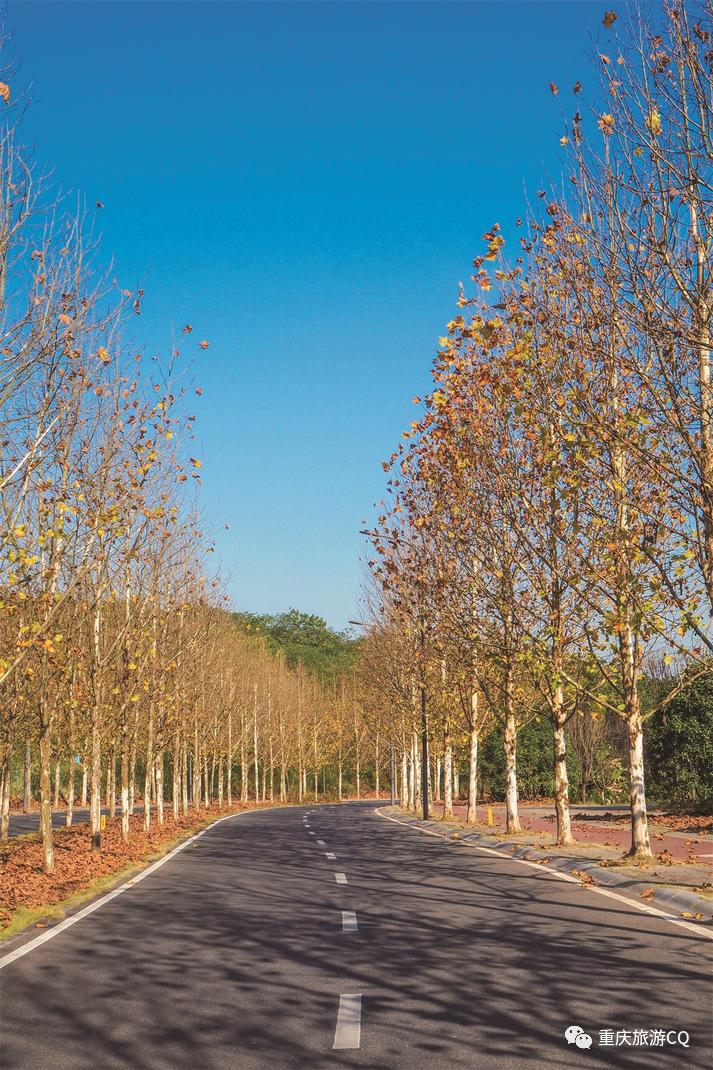 重庆人眼里的重庆好景区,重庆人眼里的江南