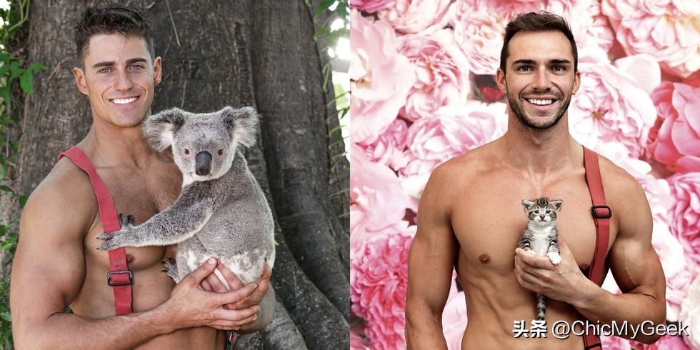 澳洲*防队消**月历杀疯!萌宠+*男猛**,太诱人