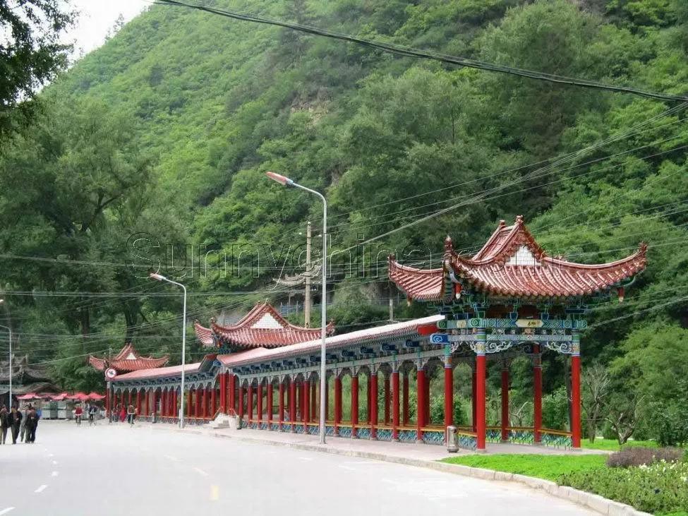 蔬菜之乡靖远,蔬菜之乡武山