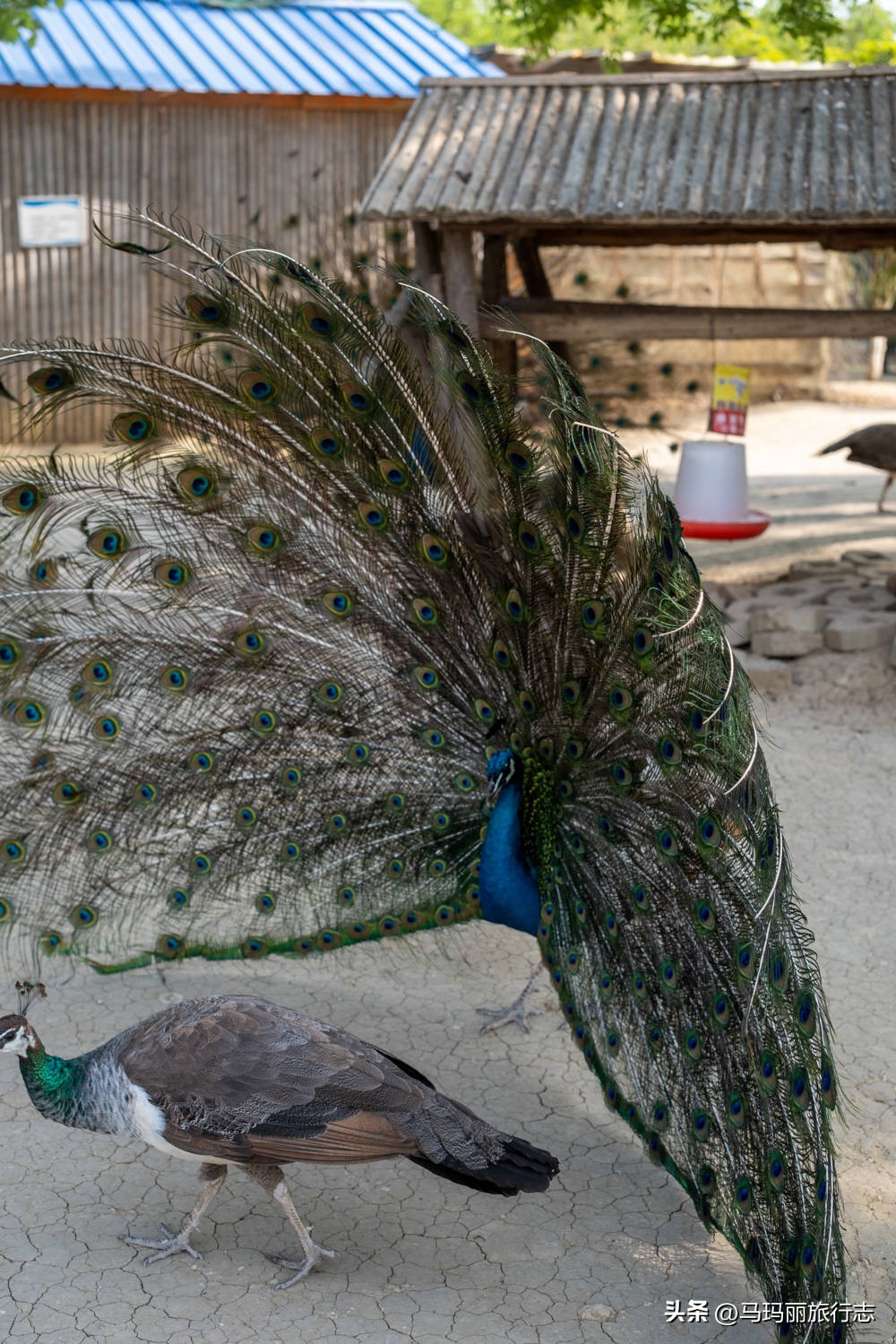宿州到底有多好耍,宿州世外桃源好去处