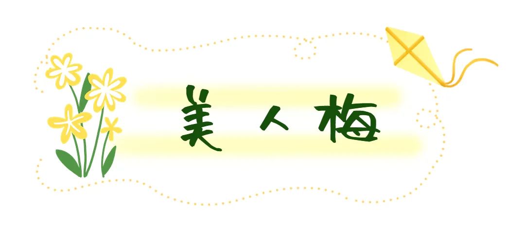 济南这个周末适合哪里赏花,济南春天赏花好去处