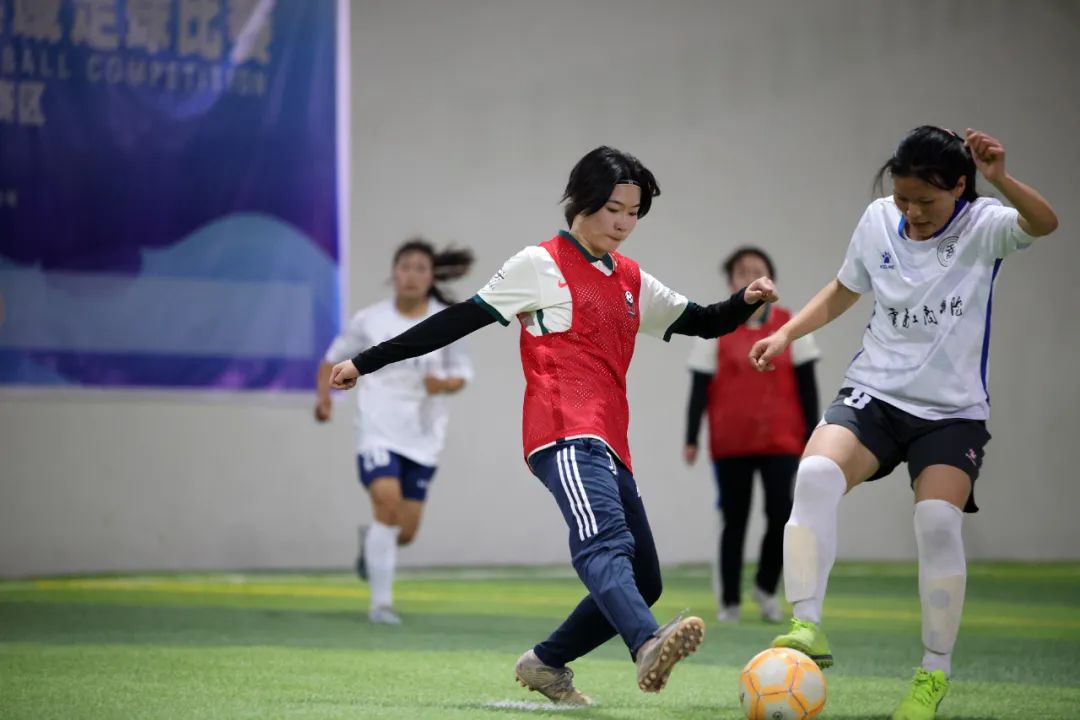 铿锵玫瑰搏击赛,铿锵玫瑰体育版