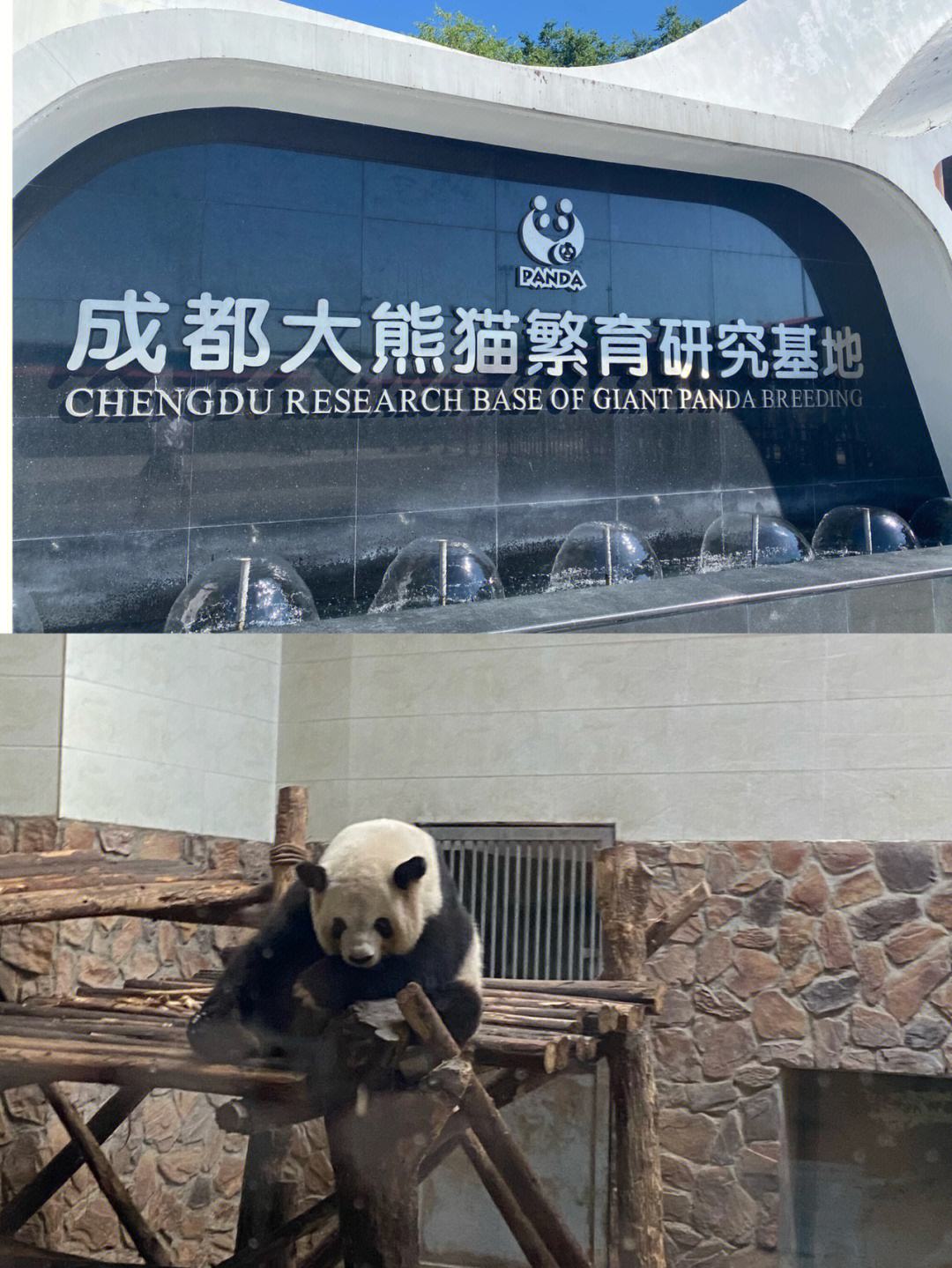 成都旅游景点推荐雪景,成都旅游景点推荐最全攻略