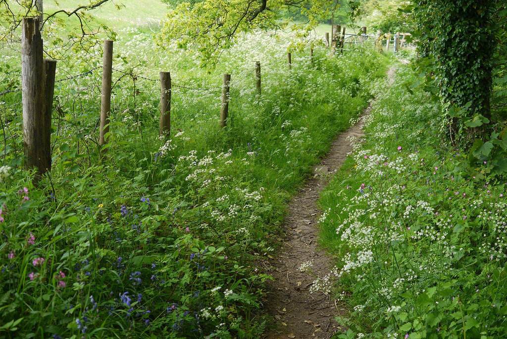 唐代杜甫描写春天的诗句,杜甫笔下有哪些描写春天的诗句