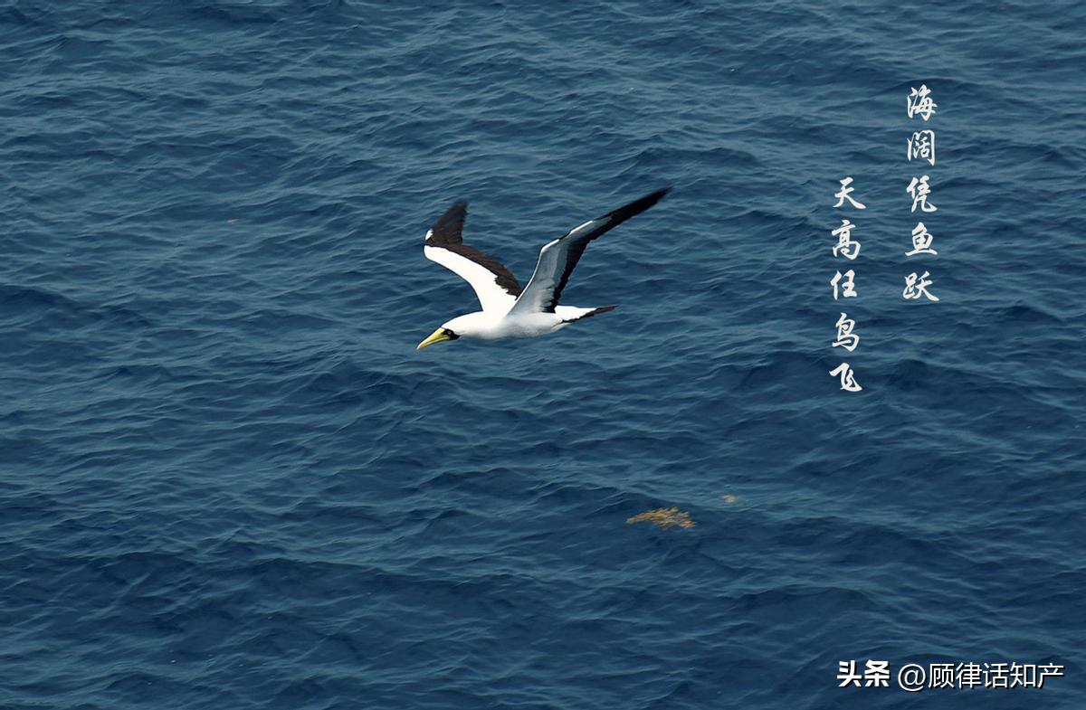 这家公司用成语“金戈铁马”作为商品名称，却被法院判赔20万？