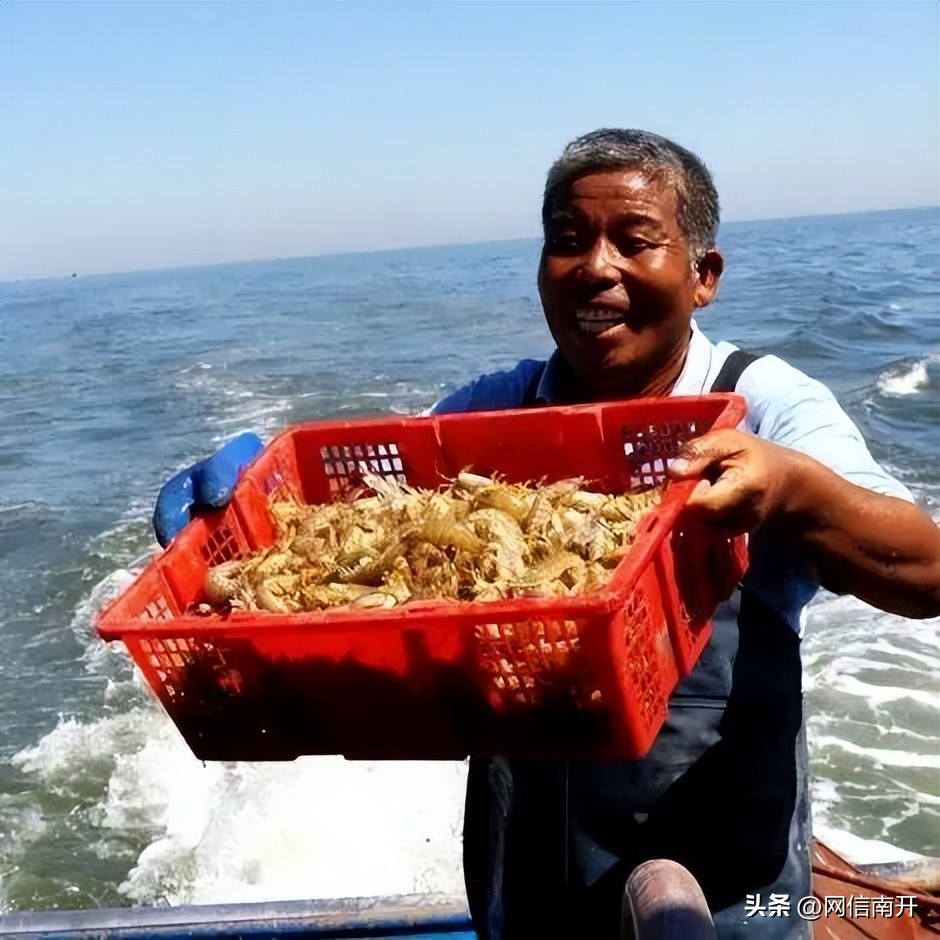 天津渔村出海,天津最后的小渔村能赶海吗