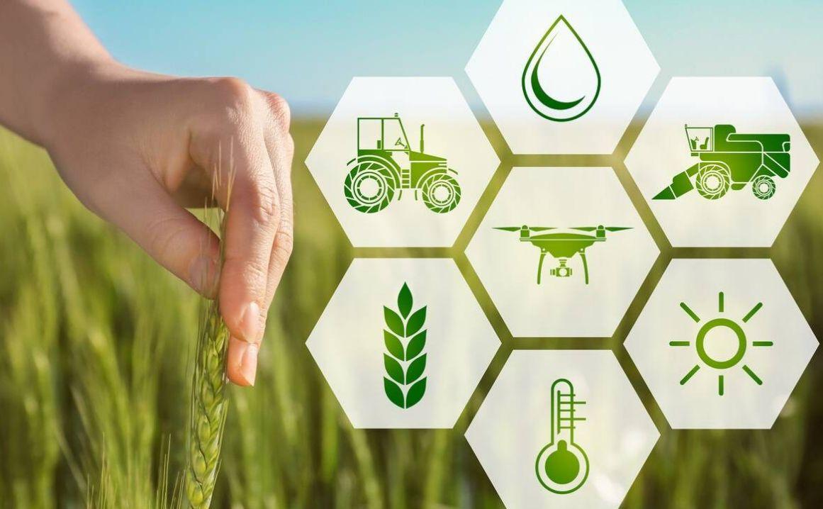 互联网促进农业经济发展策划书,农业产业与互联网融合研究