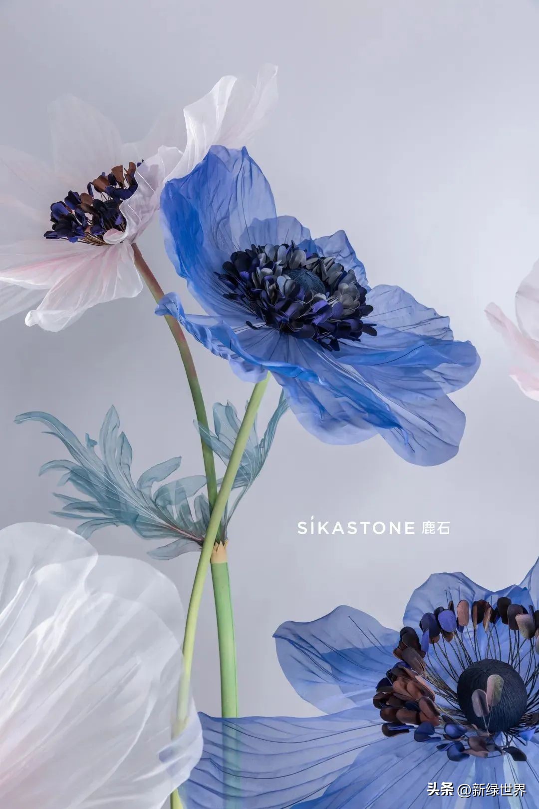 一组纸艺作品,令人惊艳的纸艺作品