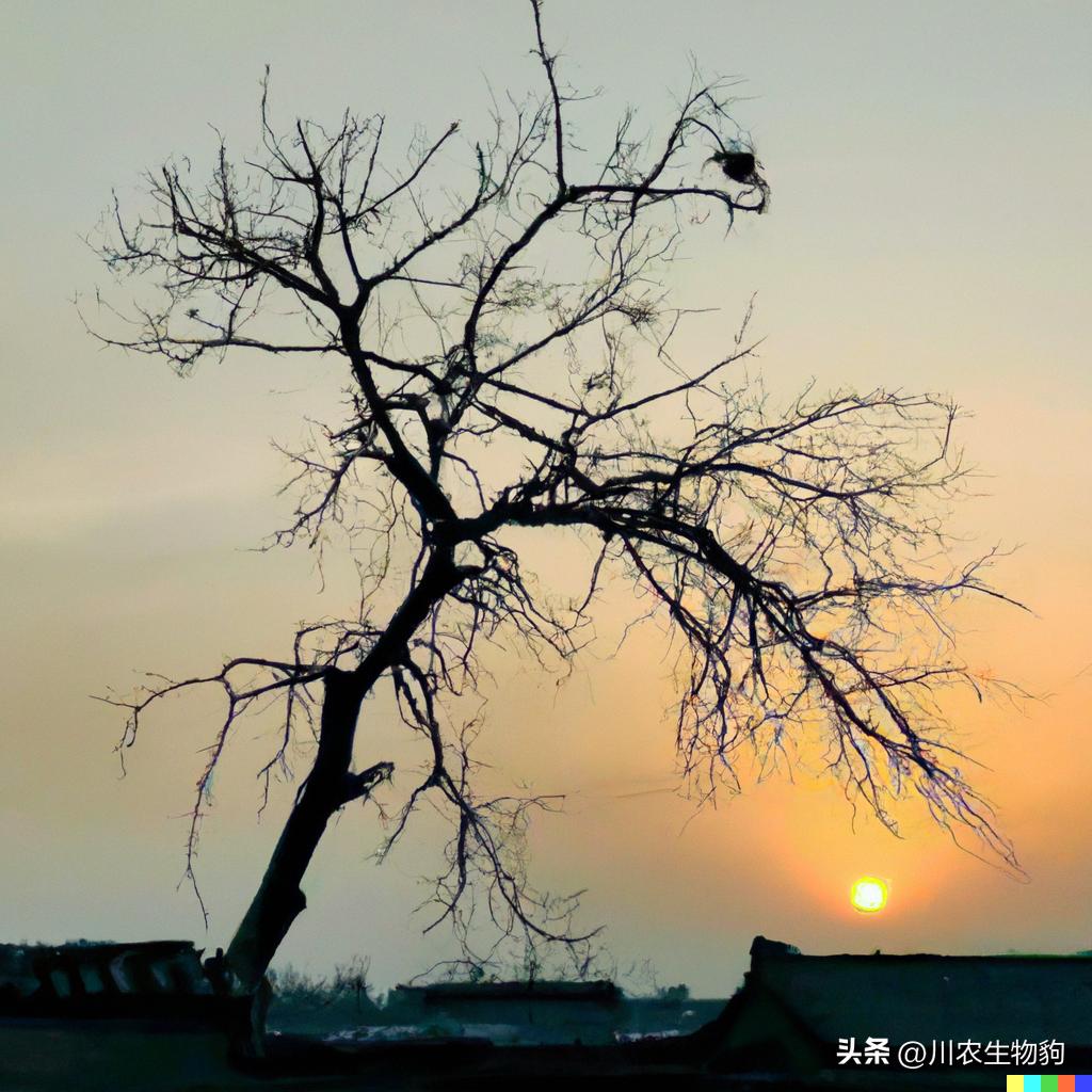 DALL.E2-openAI下的智能绘画机器人理解的中国古诗句（一）