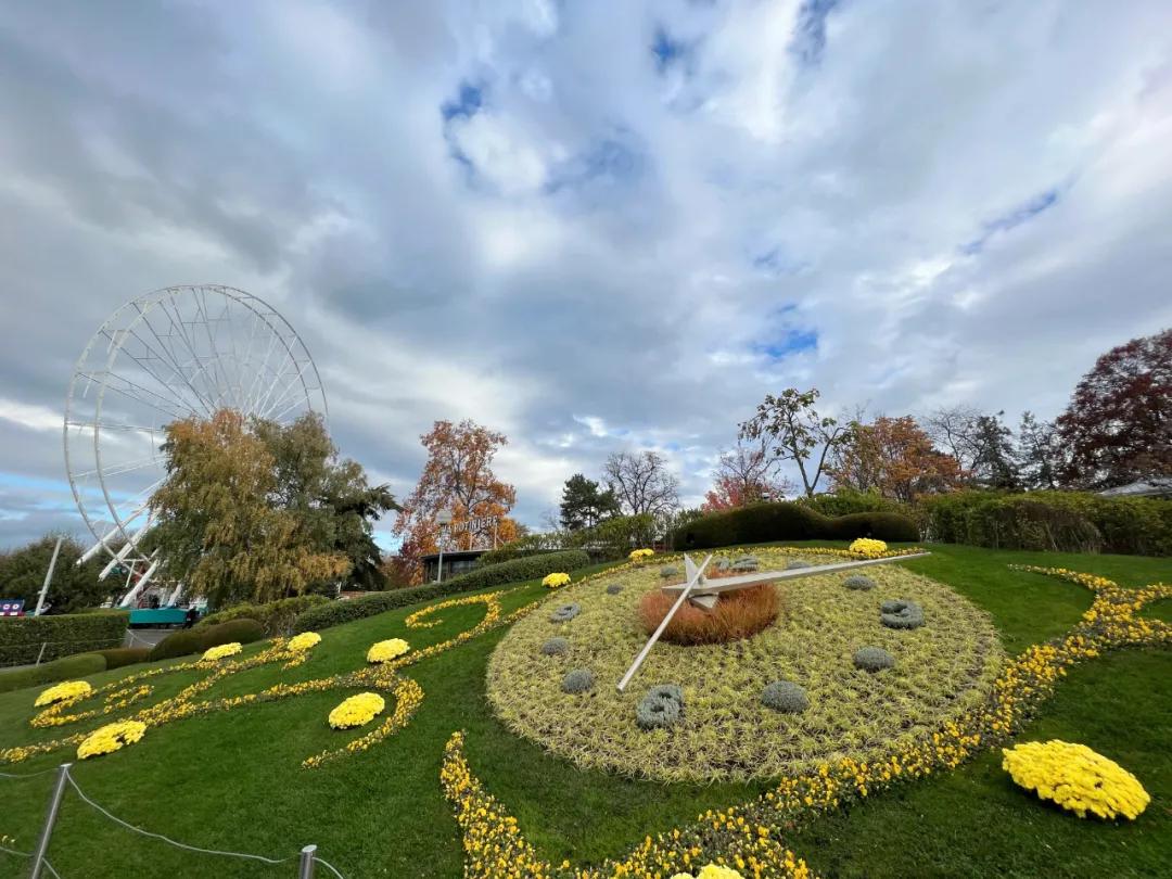 去欧洲几国游需要怎么办理护照,新加坡去欧洲旅游签证