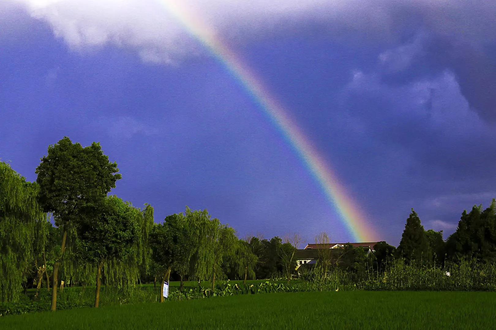 再见了我的爱人伤感篇,再见了我的爱人录音