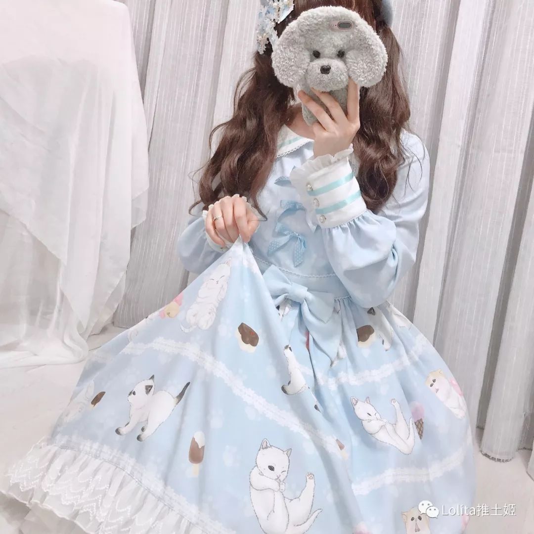 洛丽塔简介，小白狼的专属哦