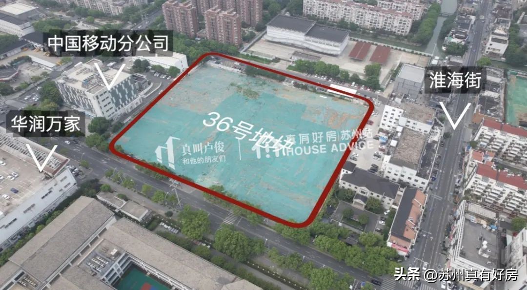 开局四大神兽,四大神盘新房