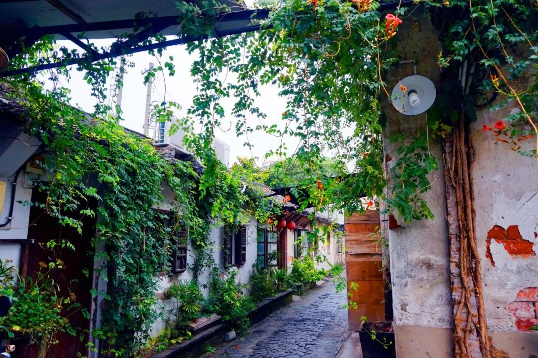 几月出生水旺,你几月出生就代表你是什么