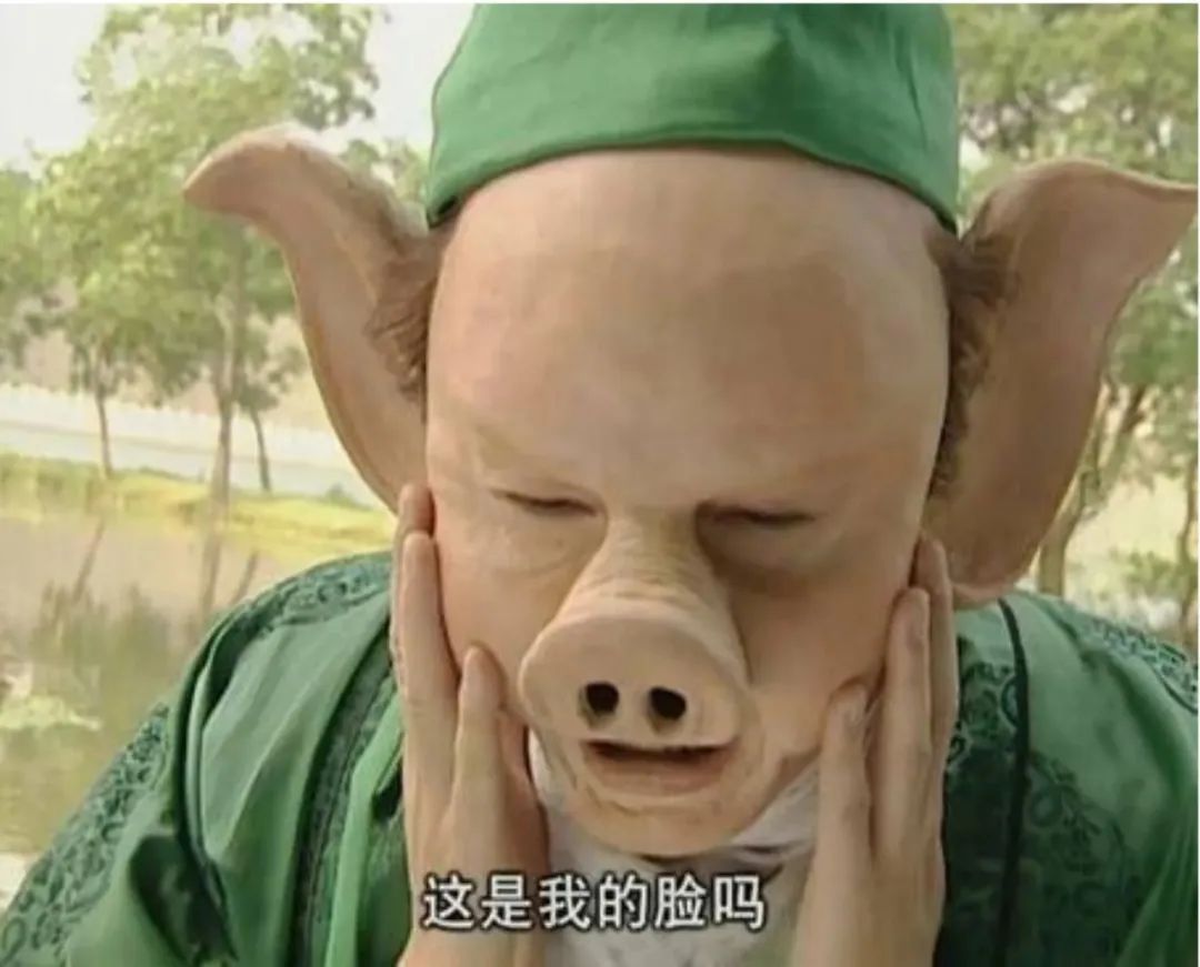 夏季常见蚊虫叮咬图鉴,女孩被家人吸血10年