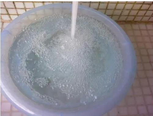 车内有蟑螂放樟脑丸有用吗,蟑螂进车里面怎么办