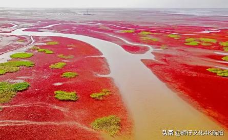 鎻鍏ㄧ悆鏈牬鎮鍚堥泦,鎻涓浗澶ф鍚堥泦