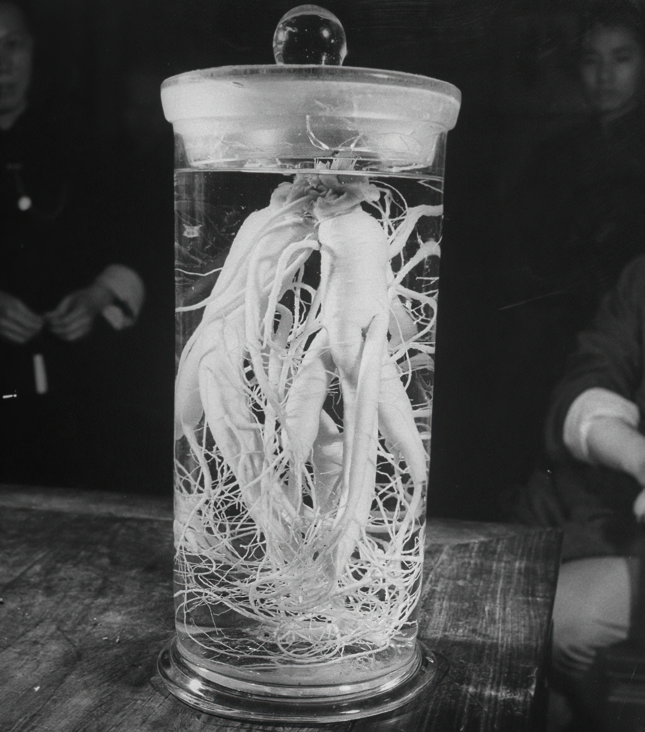 八十年前的中药,以前80年代的药品