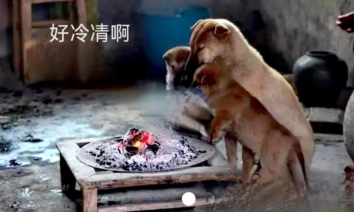 自秦皇汉武以来，江汉平原一带就把冻得瑟瑟发抖叫“冷凊”