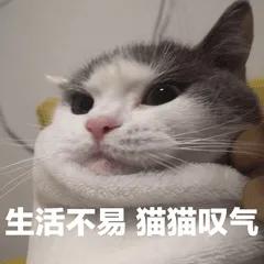 打工表情包文案,打工人文案表情包