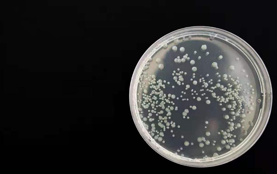 人体润滑剂，对男性伤害大还是女性？能长期用吗？为了健康早了解