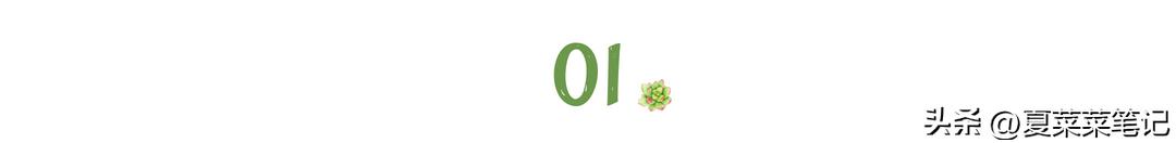 父母养老问题独生子女难吗,父母养老的心酸