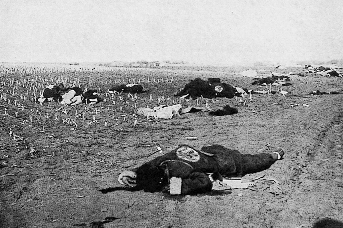 渚靛崕鏃ュ啗鍏借缁濈増鐓х墖,鏃ュ啗鍏借