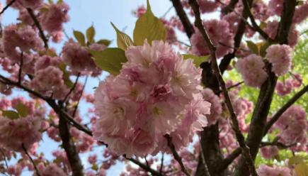 深大老师年薪多少,深大老师待遇怎么样