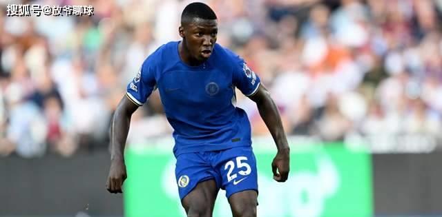 种子有多么关键,种子最重要的部分是哪里