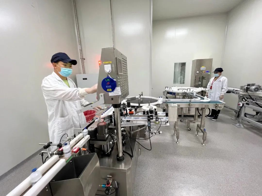 落实五大任务建设模范自治区,落实五大任务推动高质量发展