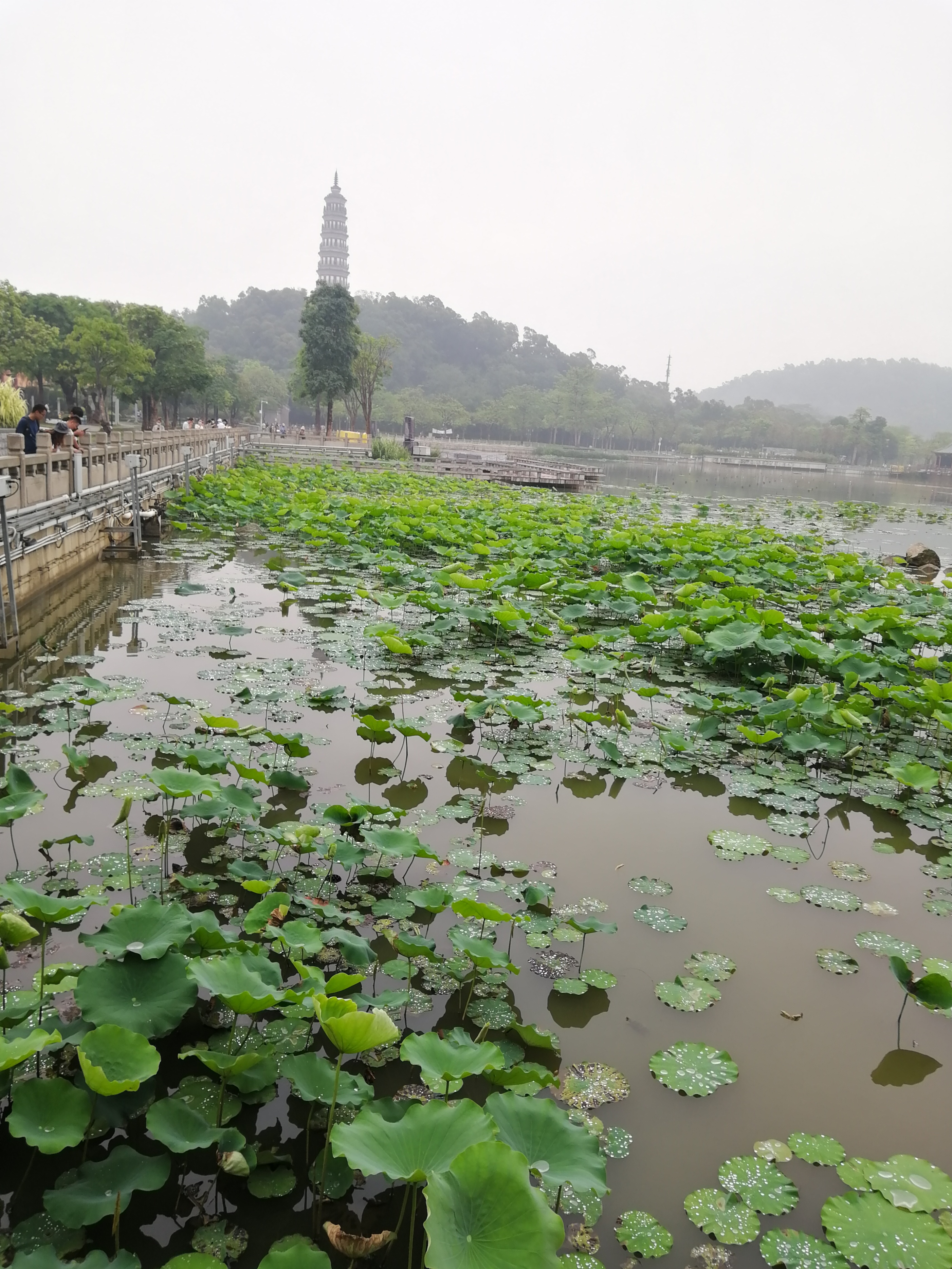 打卡广州地铁7号线,打卡广州最美7公里