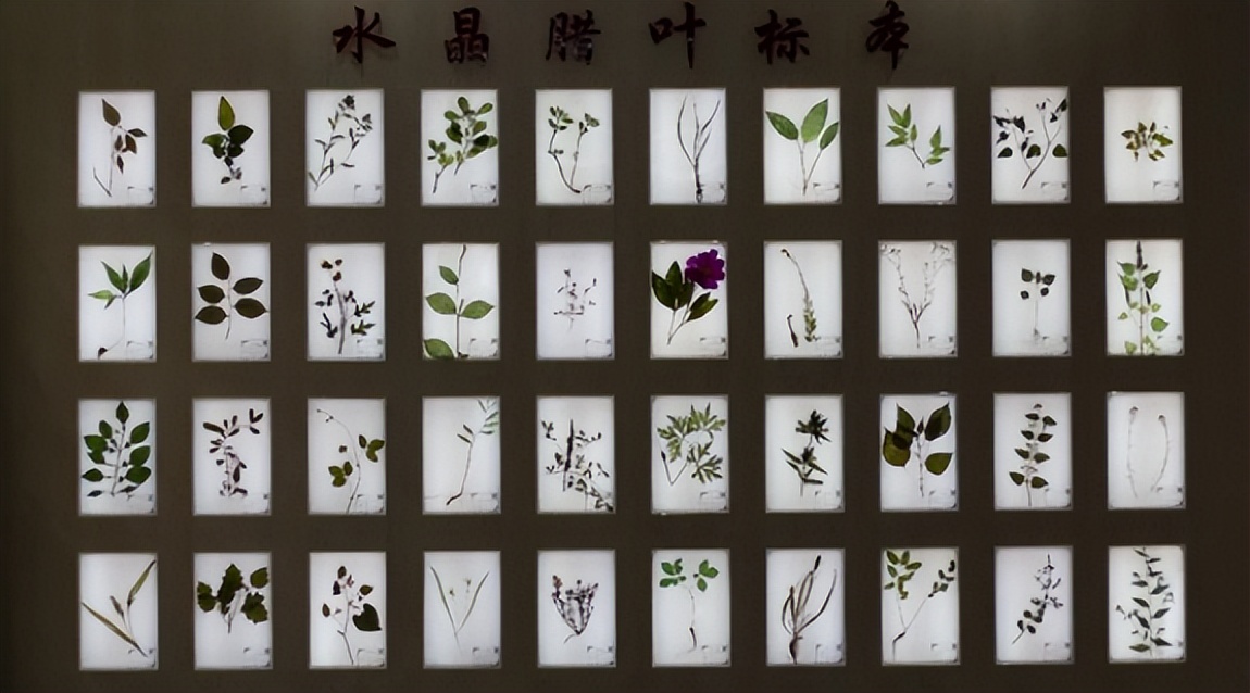 我与火爆全网的“ChatGPT”聊广州华立科技职业学院